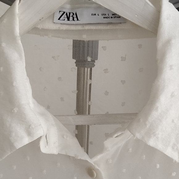 Zara Organza Puff Sleeve Blouse - Picture 5 of 10